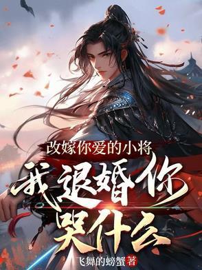 给我说改嫁