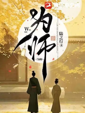 为师无心