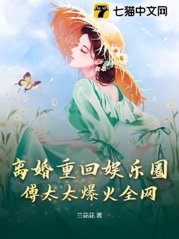 重回离婚后