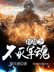 抗战之铁血兵锋