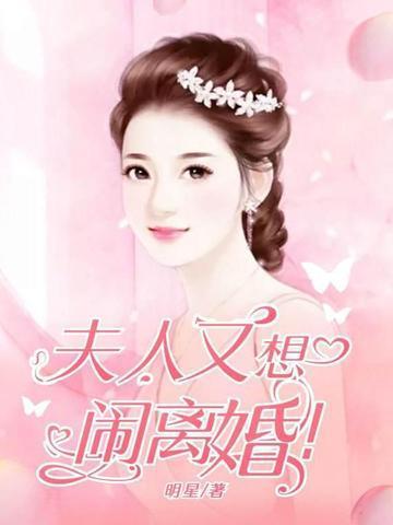 夫人又要离婚了全文