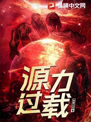 源力过载书旗网