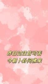 过往今日什么意思