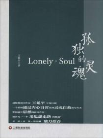 孤独的灵魂歌词