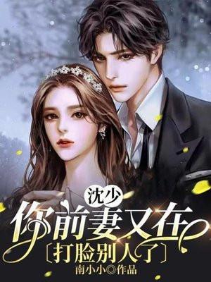 前妻难追沈棠靳言琛