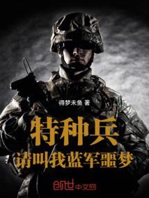 特种兵之专业蓝军