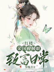 红楼荣国府姨娘致富日常无防盗