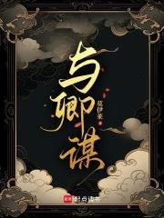 与卿谋网剧