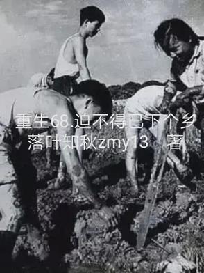 重生1968迫不得已下乡