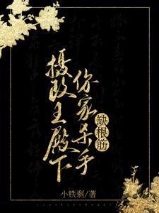 摄政王殿下你家杀手缺根筋TXT