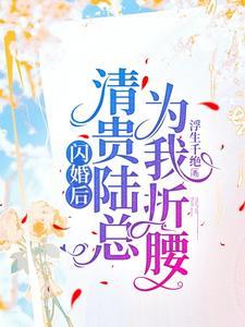 我成了陆少的心尖宠全文免费阅读