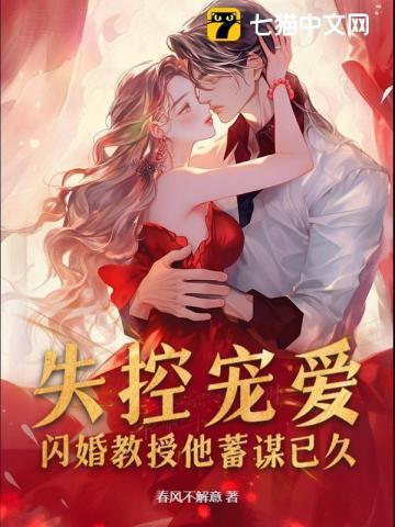 闪婚教授甜文