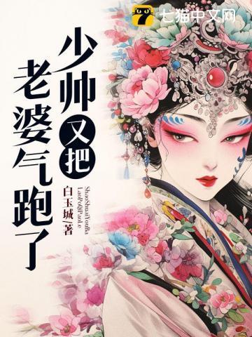 少帅的老婆又跑啦