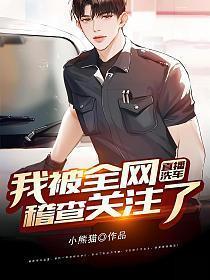 正规洗车视频