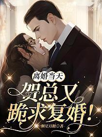 贺总 今天复婚成功了吗