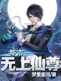 都市无上仙尊苏宇夏倾城