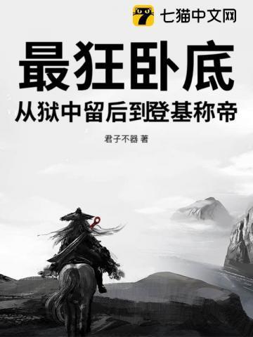 史上最牛卧底