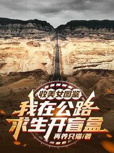 我在公路求生打怪