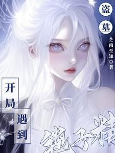 盗墓开局遇到毯子精灵