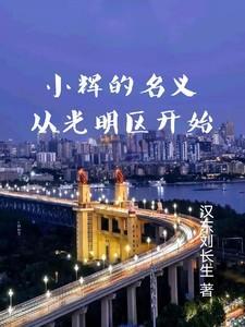 小辉的