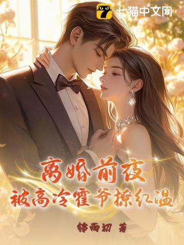 离婚前霍太太失忆了全文