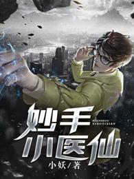 妙手小医仙云汐吴东免费阅读