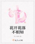 宗景灏林辛言免费阅读宗重生