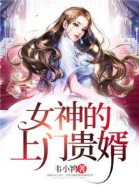 女神的上门贵婿全文免费阅读完整版