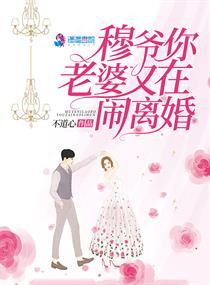 你老婆又在闹离婚了免费阅读