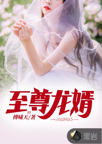 至尊龙婿短剧免费完整版