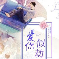 云未央霍全本免费