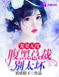 宠妻 腹黑总裁太痴情