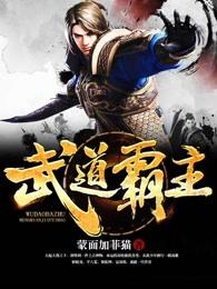 武道霸主王腾等级划分