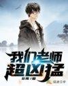 我们的老师作文