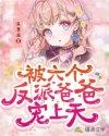姜柚柚付霖渊