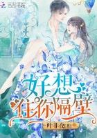 女主叫夏晚安的男主韩经年