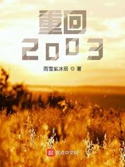 重回2003夜明猪