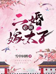 二婚必须嫁太子 笔趣阁
