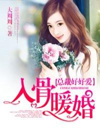 缠绵入骨总裁好好爱字数