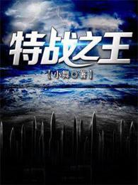 你竟成特战之王
