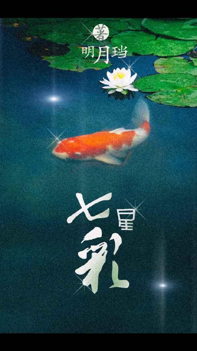 七星彩 明月珰