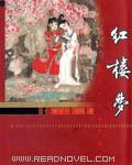 红楼梦写的是哪个朝代
