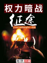 权力暗战征途张慧和林大发