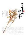 三生三世枕上书白浅