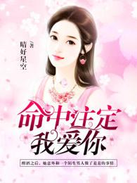 命中注定我爱你收视率