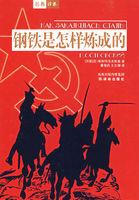 钢铁是怎样炼成的读书笔记