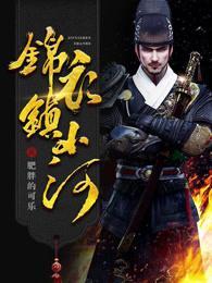 锦衣镇山河电视剧为什么下架