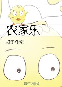 农家乐装修风格效果图