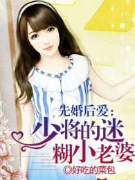 军少先婚后爱