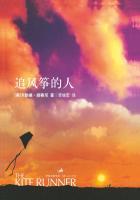 追风筝的人背景